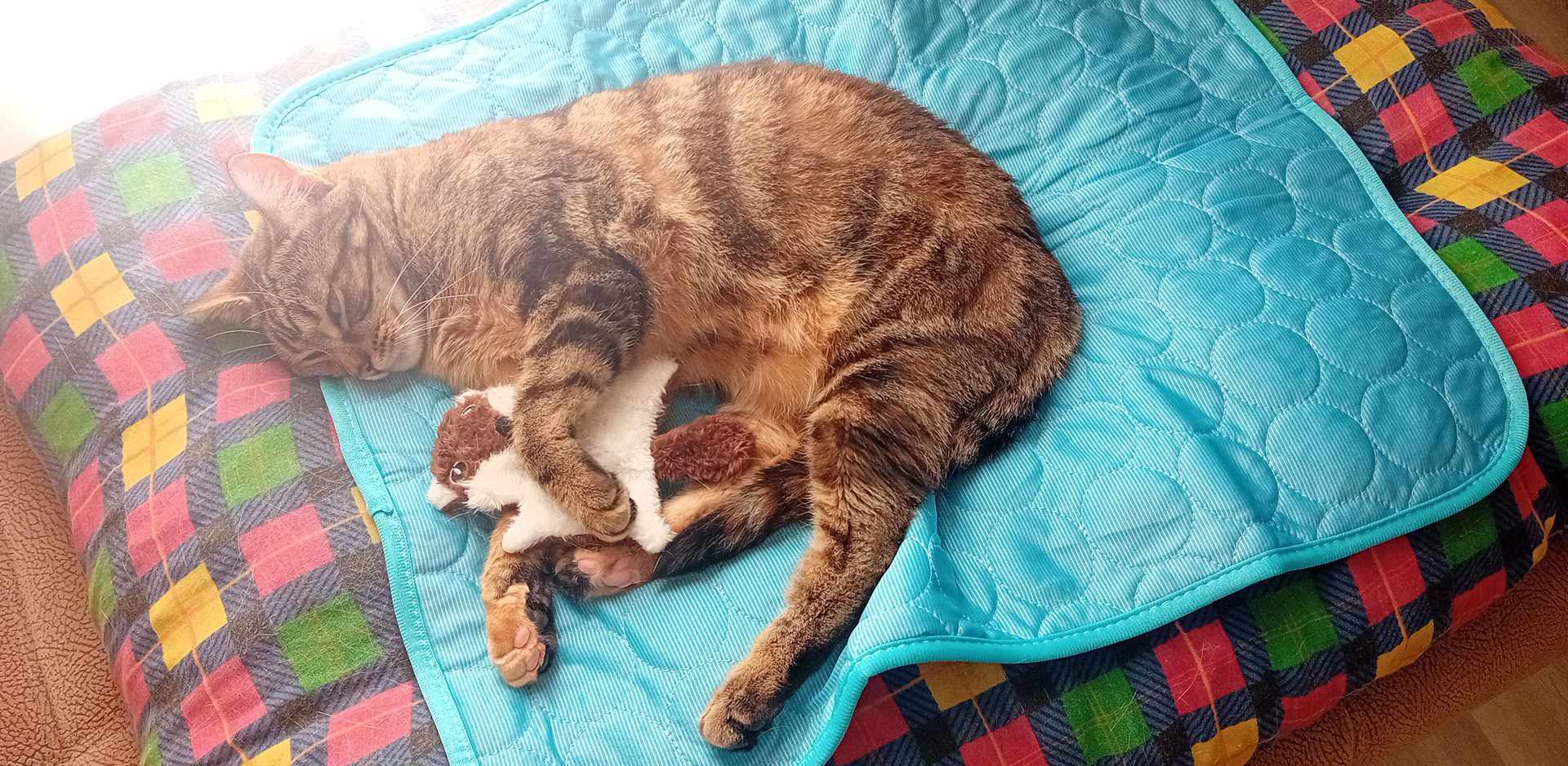 685adb0bd1053 tapis rafraichissant nala